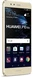 Huawei P10 Lite Dual-SIM 32GB/4GB gold