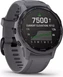 Garmin Fenix 6S Pro solar amethyst steel/shale grey