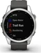 Garmin Fenix 7S silver/graphite