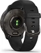 Garmin Venu 2 Plus slate/black