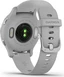 Garmin Venu 2S mist grey/silver