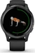 Garmin Venu black/slate