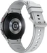 Samsung Galaxy Watch 4 Classic LTE R895 46mm silver