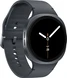Samsung Galaxy Watch8 Bluetooth 44mm graphite