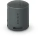 Sony SRS-XB100 black