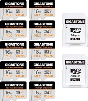 Gigastone 10x High Endurance R95/W30 microSDHC 16GB Kit, UHS-I U3, Class 10, 10er-Pack
