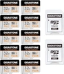 Gigastone 10x High Endurance R95/W60 microSDHC 32GB Kit, UHS-I U3, Class 10, 10er-Pack
