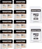 Gigastone 10x High Endurance R95/W30 microSDHC 16GB Kit, UHS-I U3, Class 10, 10er-Pack