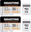 Gigastone 10x High Endurance R95/W60 microSDHC 32GB Kit, UHS-I U3, Class 10, 2er-Pack