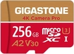Gigastone 4K Camera Pro R100/W60 microSDXC 256GB Kit,...