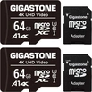 Gigastone 4K UHD Video R90/W20 microSDXC 64GB Kit, UHS-I U3, A1, Class 10, 2er-Pack
