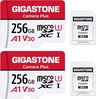 Gigastone Camera Plus R100/W60 microSDXC 256GB Kit,...