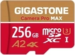Gigastone Camera Pro MAX R130/W85 microSDXC 256GB Kit, UHS-I U3, A2, Class 10