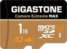 Gigastone Camera Extreme MAX R160/W140 microSDXC 1TB...