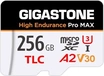 Gigastone High Endurance Pro MAX R160/W130 microSDXC 256GB Kit, UHS-I U3, A2, Class 10