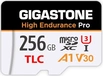 Gigastone High Endurance Pro R100/W60 microSDXC 256GB Kit, UHS-I U3, A1, Class 10