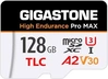Gigastone High Endurance Pro MAX R160/W100 microSDXC 128GB Kit, UHS-I U3, A2, Class 10