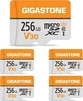 Gigastone R100/W60 microSDXC 256GB Kit, UHS-I U3, Class 10, 5er-Pack