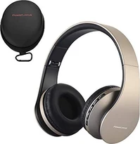 PowerLocus PWL-PAR-1 gold