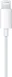 Apple EarPods with Lightning connector (2024)
