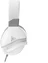 Turtle Beach Recon 200 Gen 2 білий