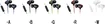 JVC XX white